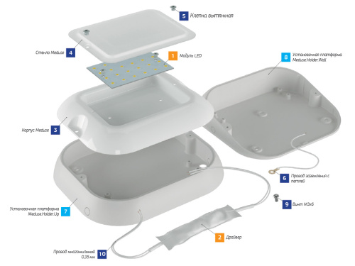 Meduse 5W